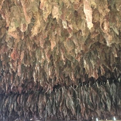 Tobacco Tour (12)_1280x960